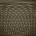 Spatial triangular grid. Abstract geometric background. Royalty Free Stock Photo