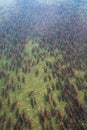 Spawning salmon swimming in the Brooks River, Katmai National Park, Alaska, USA