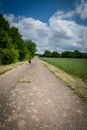 Walking the dog in Germany Royalty Free Stock Photo