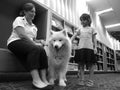 SPCA dog safety training