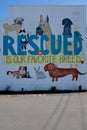 SPCA Wall Mural for Rescued Animals