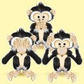 Speak no Evil, Hear no Evil, See no Evil Royalty Free Stock Photo