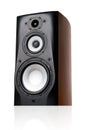 Speaker. Royalty Free Stock Photo