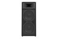 Speaker audio loud system, front view Royalty Free Stock Photo