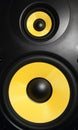 Speaker Royalty Free Stock Photo