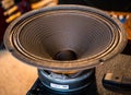 Speaker for a guitar amplifier