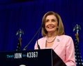 Speaker of the House, Nancy Pelosi at the DNC Summer Session