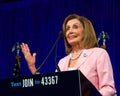 Speaker of the House, Nancy Pelosi at the DNC Summer Session