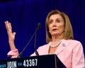 Speaker of the House, Nancy Pelosi at the DNC Summer Session