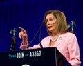 Speaker of the House, Nancy Pelosi at the DNC Summer Session