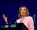 Speaker of the House, Nancy Pelosi at the DNC Summer Session