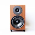 Dynamic Symmetry Wooden Speaker On White Background