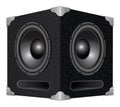 Speaker or Subwoofer