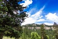 Spearfish Canyon in Summer, South Dakota Royalty Free Stock Photo