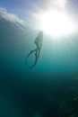 Spearfishing on the reef Royalty Free Stock Photo