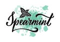 Spearmint black handwritten text on mint color background