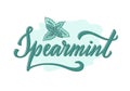 Spearmint creative calligraphic text on pastel background