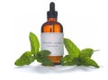 Spearmint extraction or essential oil Royalty Free Stock Photo