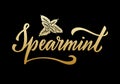 Spearmint golden creative word on black background