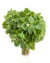 Spearmint herb Royalty Free Stock Photo