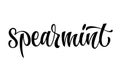 Spearmint - vector hand drawn calligraphy style lettering word.