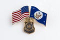 Special Agent Pin Royalty Free Stock Photo