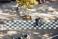 special bike path with checkerboard coloring and cyclist Royalty Free Stock Photo