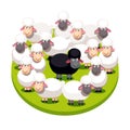 Special black sheep standing among white sheep Royalty Free Stock Photo