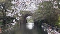 The special bridge cave of Shanghai Guangfulin Ancient Cultural Site