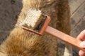 A special brush of fluff on a wooden growled with metal bristles for combing animals. There`s a lot of dog hair on the comb. The Royalty Free Stock Photo