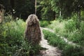 Camouflage ghillie suit for snipers and intelligence agents