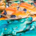 Special ceramic depictions of fish typical of the Mediterranean Sea Royalty Free Stock Photo