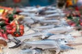 Special ceramic depictions of fish typical of the Mediterranean Sea Royalty Free Stock Photo