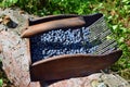 Special comb to picking blueberries Royalty Free Stock Photo