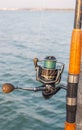 The crank of a fishing rod with reel foot, reel seat, spool, coiled line and spool brake Royalty Free Stock Photo