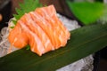 Special Deluxe salmon sashimi set