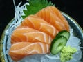 Special Deluxe salmon sashimi set on ice sever with wasabi and cucumber , traditional Japanese food, closed up focus salmon