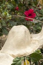 Special Display Of Straw Hats Royalty Free Stock Photo