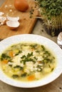 Special egg soup with cabbage sprouts and potatoes Royalty Free Stock Photo