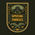 Special forces colorful label vintage Royalty Free Stock Photo