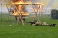 Special forces demonstrate training. Royalty Free Stock Photo