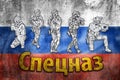 Special forces tactical team in action illustration with Spetsnaz label on grunge Russian Federation flag, unmarked and