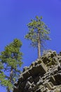 Special Geology in Devils Postpile National Monument