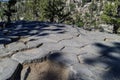 Special Geology in Devils Postpile National Monument