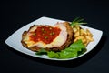 Special meal with french fries, salad and a schnitzel Royalty Free Stock Photo