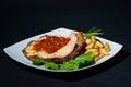 Special meal with french fries, salad and a schnitzel Royalty Free Stock Photo