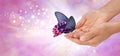 Special moment with a beautiful butterfly Royalty Free Stock Photo