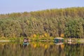 Special Nature Reserve Kovilj Ã¢â¬â Petrovaradin marshes in Vojvodina, north Serbia