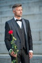 special occasion concept. grizzle man with rose for special occasion. tuxedo man at special occasion