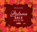 Special offer autumn  sale banner design. with colorful seasonal fall leaves Royalty Free Stock Photo